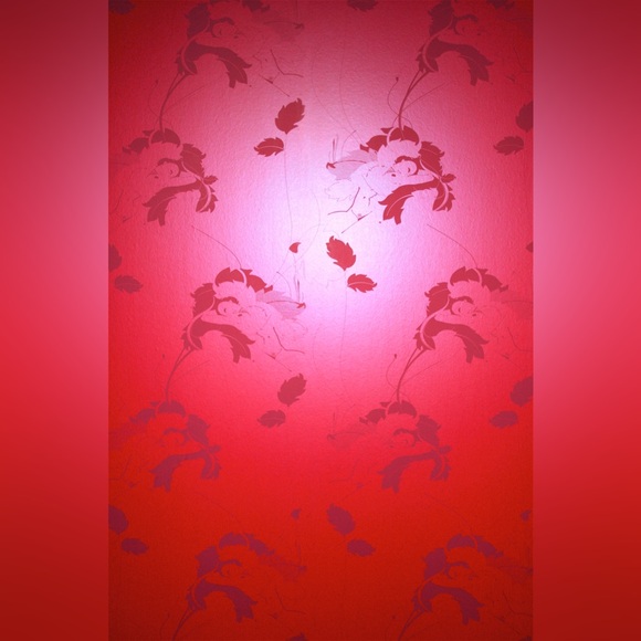 DED association Paper Voyeur Agent Provocateur Coco De Mer Limited Edition Roll - Picture 4 of 13